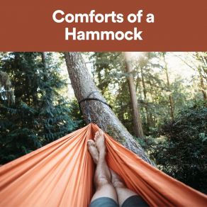 Download track Comforts Of A Hammock Sonidos De La Naturaleza Para Dormir