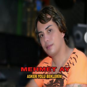 Download track Asker Yolu Beklerim Mehmet Ay