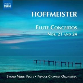 Download track Flute Concerto No. 21 In D Major - II. Romanza: Adagio Franz Anton Hoffmeister