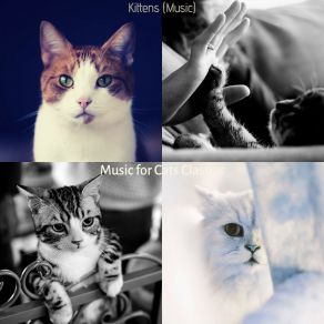 Download track Tranquil (Kittens) Music For Cats Classics