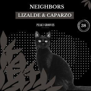 Download track Neighbors (Original Mix) Caparzo