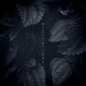 Download track The Earth Takes Root Brdges