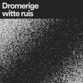 Download track Duik In Dromen Witte Ruis