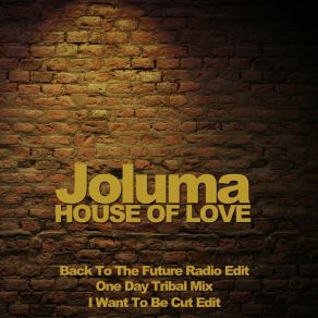 Download track Back To The Future (Radio Edit) Joluma