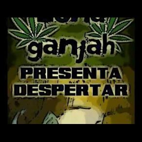 Download track Qué Pasa Contigo Zona Ganjah