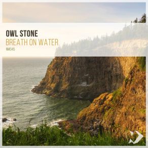 Download track Breath On Water Stone Owl