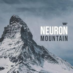 Download track Mountain Neuron