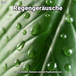 Download track Regengeräusche, Pt. 63 Henrik Picot