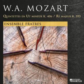 Download track Quintette À Cordes En Ré Majeur, K. 593: II. Adagio Ensemble Fratres