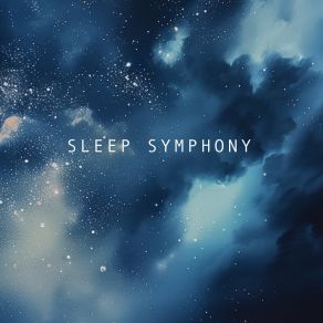 Download track Maya (Noise) Sleep SymphonyThe Noise