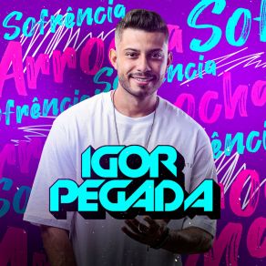 Download track Te Amo Muito Igor Pegada