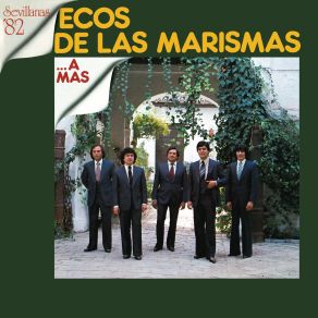 Download track Mujer (Remasterizado) Ecos De Las Marismas