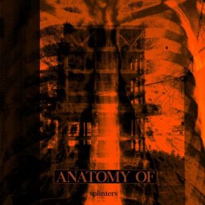 Download track Collapsing Anatomy Of