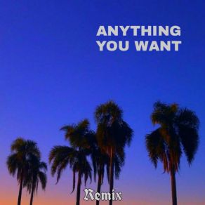 Download track Anything You Want (Extended Remix) F. Grava