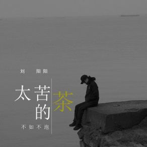 Download track 太苦的茶不如不泡 (Dj默涵版) 刘阳阳默涵