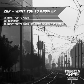 Download track Want You To Know (Atlantic Connection Remix) ZarAtlantic Connection