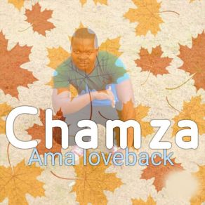 Download track Ushukela Chamza