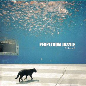 Download track Blame It On The Sun PERPETUUM JAZZILE