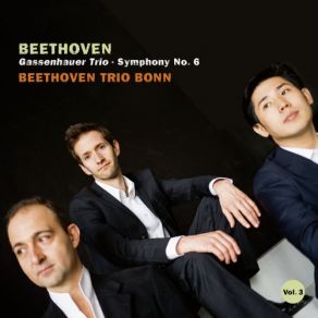 Download track Symphony No. 6 In F Major, Op. 68: II. Szene Am Bach. Andante Molto Moto (Arr. For Piano Trio) Beethoven Trio Bonn