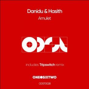 Download track Amulet (Extended Mix) DANIDU, Hasith