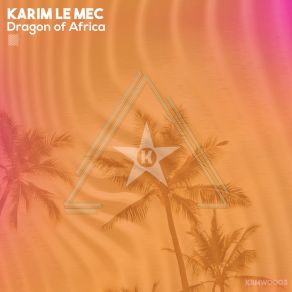 Download track Dragon Of Africa (Extended Mix) Karim Le Mec