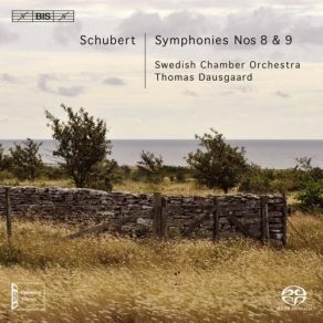 Download track 03. Symphony No. 9 In C Major Great - I. Andante Franz Schubert