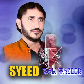 Download track Na Kawm Da Khkuli Mina Syeed Wali Wazeer