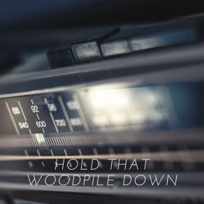 Download track Hold That Woodpile Down The New Lost City Ramblers