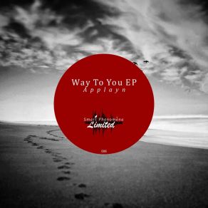 Download track Way To You (Original Mix) Applayn