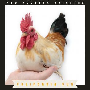 Download track Sound In The City Red Rooster Original