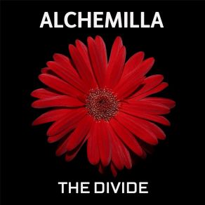 Download track Got To Choose Alchemilla