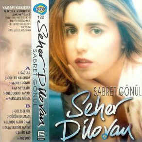 Download track Potpori Seher Dilovan