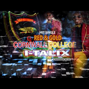 Download track Cornwall College Alumni' Reminder, I Talix