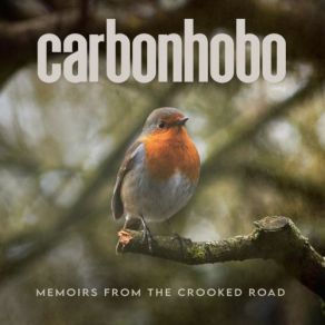 Download track Stranger Carbonhobo