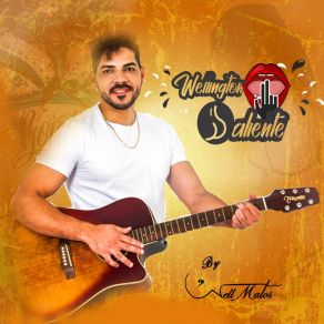 Download track Bar Do Toba Well Matos