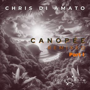 Download track Canopée (John Gregory Remix) Chris Di AmatoJohn Gregory