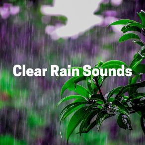 Download track Rain For Village Walks, Pt. 17 Rain Sounds