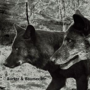 Download track Trans It Barker, Baumecker