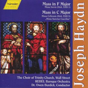 Download track Mass No. 2 In F Major, Hob. XXII: 1 