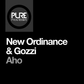 Download track Aho (Dub Mix) DJ Gozzi