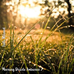 Download track Morning Drizzle Ambience, Pt. 16 Steve Brassel