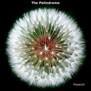 Download track Pissenlit Palindrome