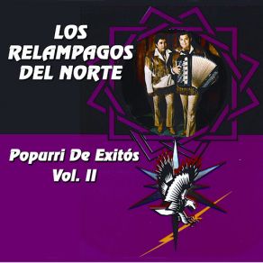 Download track Que Bonita Chaparrita Los Relampagos Del Norte