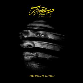 Download track Transmissions Sauvages Simba Le Fonkicker