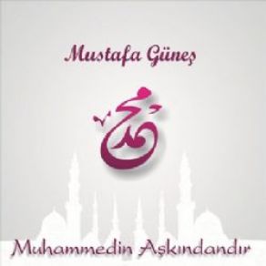 Download track Gül Yüzünü Mustafa Güneş