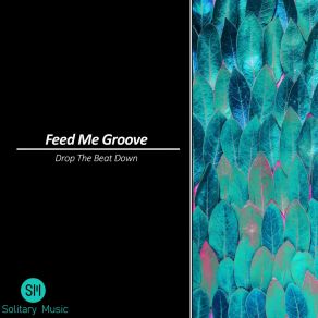 Download track Drop The Beat Down (Club Mix) Feed Me Groove