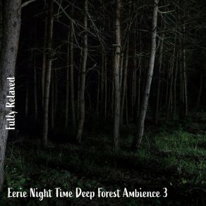 Download track Eerie Night Time Deep Forest Ambience, Pt. 20 Steve Brassel