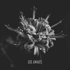 Download track Ignite Life Awaits