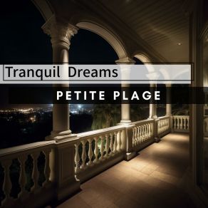 Download track The Pianist Is Restless Petite Plage