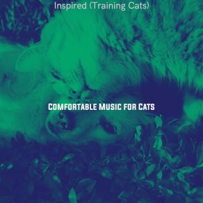 Download track Dreams - Relaxing Cats Comfortable Music For Cats